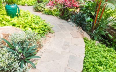 5 bonnes raisons de choisir Terrassement National MS Inc. pour votre aménagement paysager